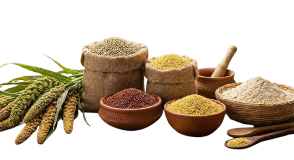organic grains