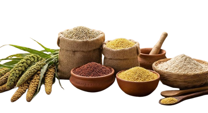 organic grains